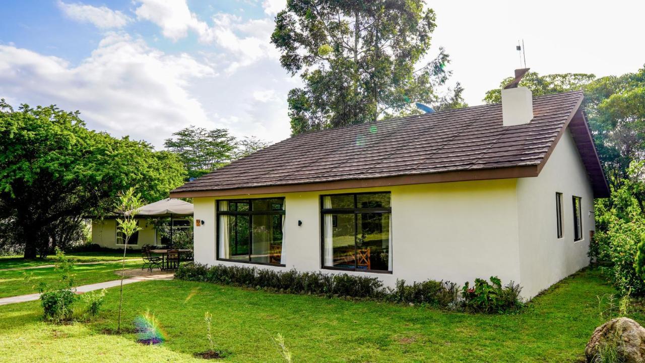 Black Wattle House 纳库鲁 外观 照片